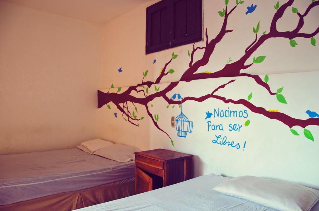 Hostal Sonati León Oda fotoğraf